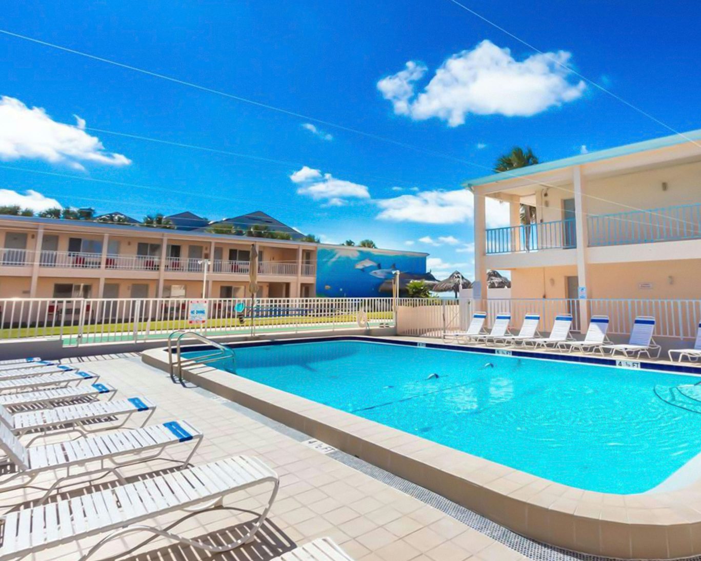 Outdoor swimming pool with lounge chairs at Belleair Beach hotel near colorful dolphin mural.