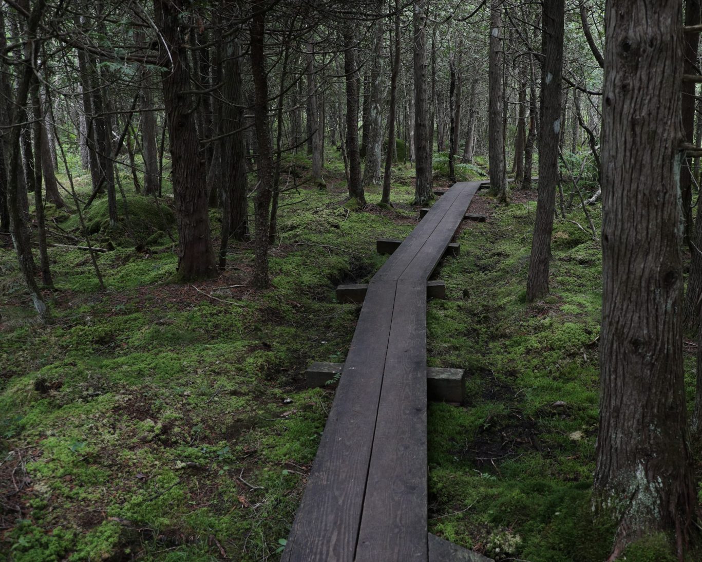 Ellsworth Maine hiking.