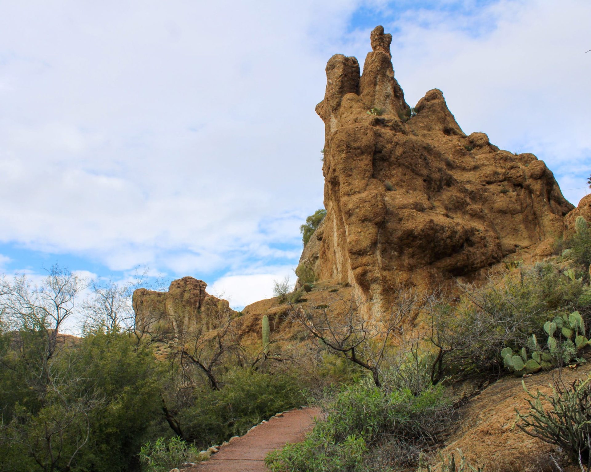 Boyce Thompson arboretum state park trail.