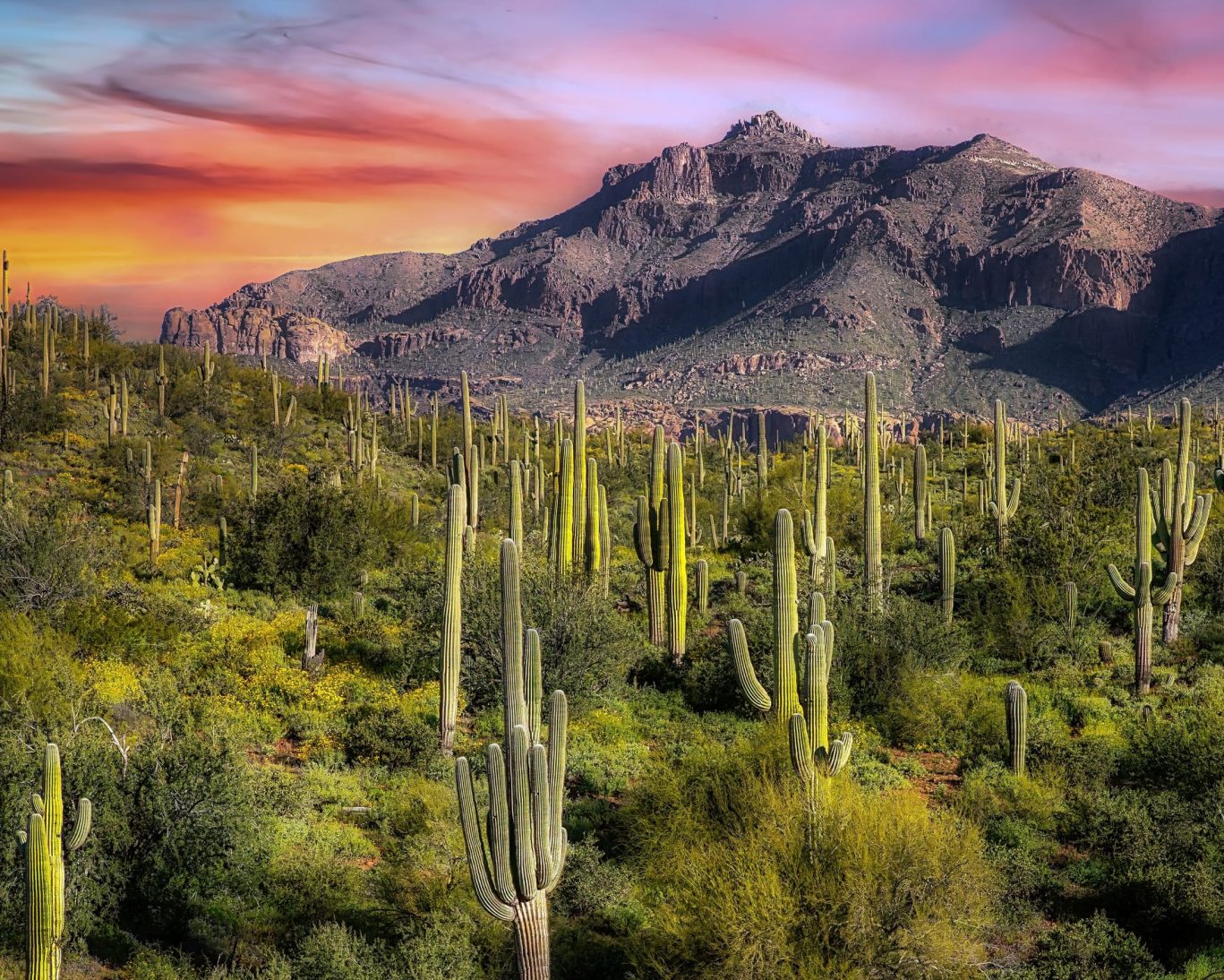 Superior AZ.