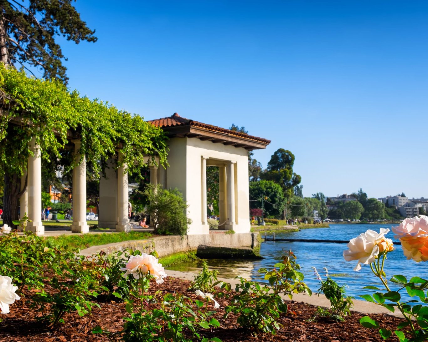 Crown.Lake Merritt Oakland.