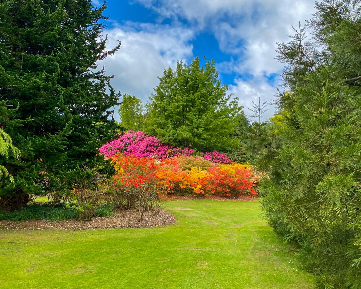 Hazelhead Park.