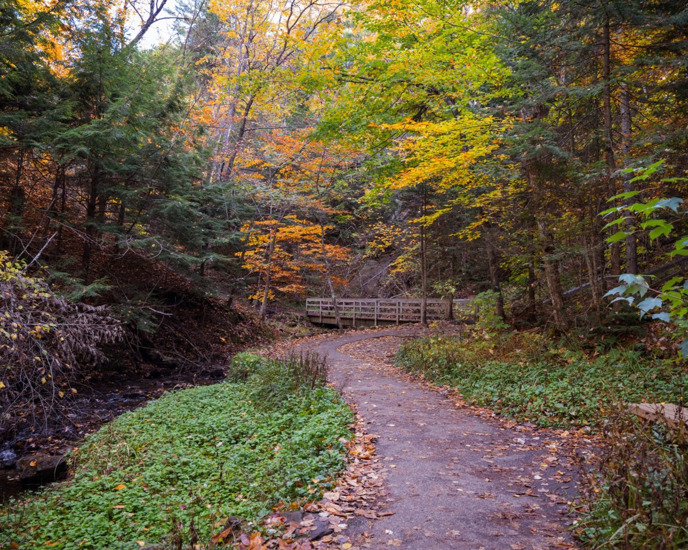 Scenic forest trail with wooden bridge at Black River Harbor Recreation Area during autumn in Michigan's Upper Peninsula.