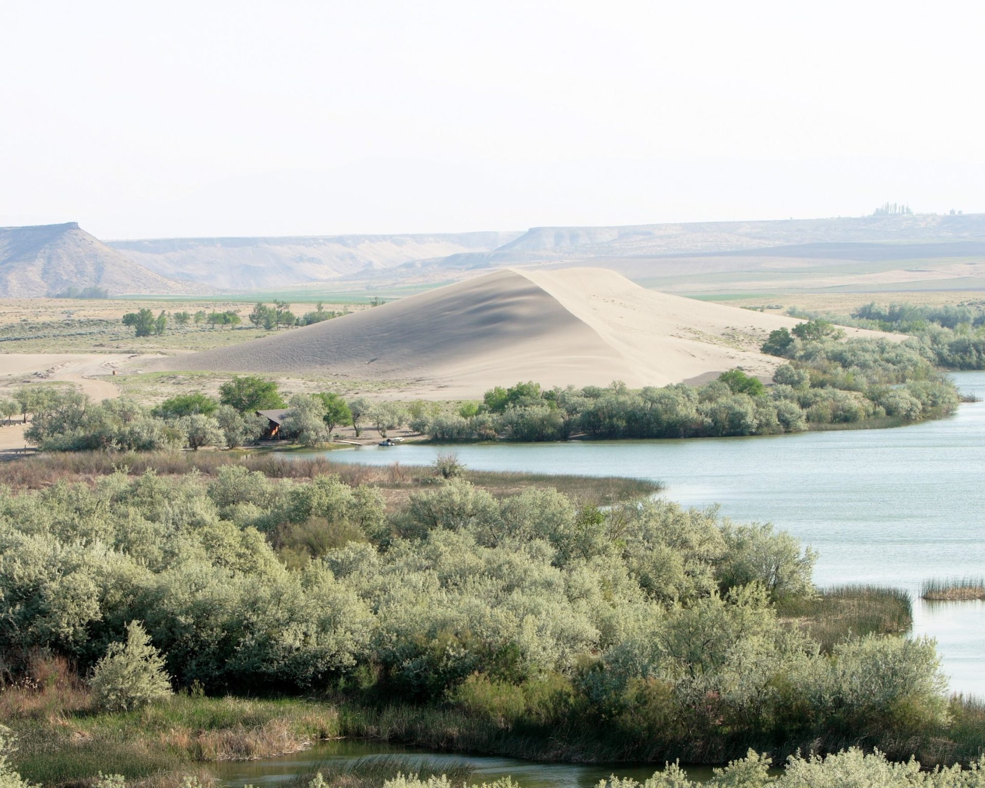 Scenic view of Bruneau Dunes State Park with sand dunes and surrounding greenery near Mountain Home, Idaho.