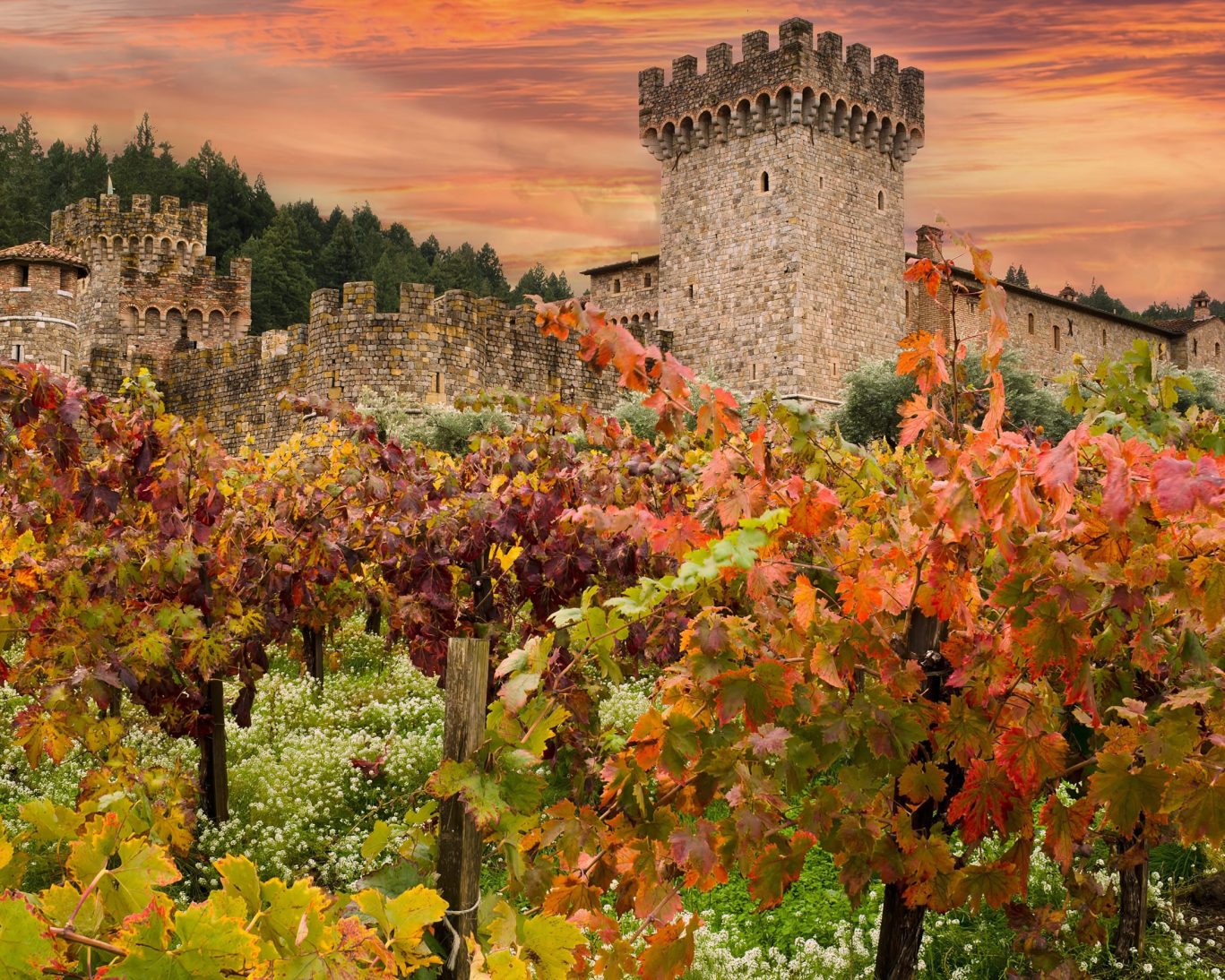 Medieval-style Castello di Amorosa winery surrounded by autumn-colored vineyards in Napa Valley, California.