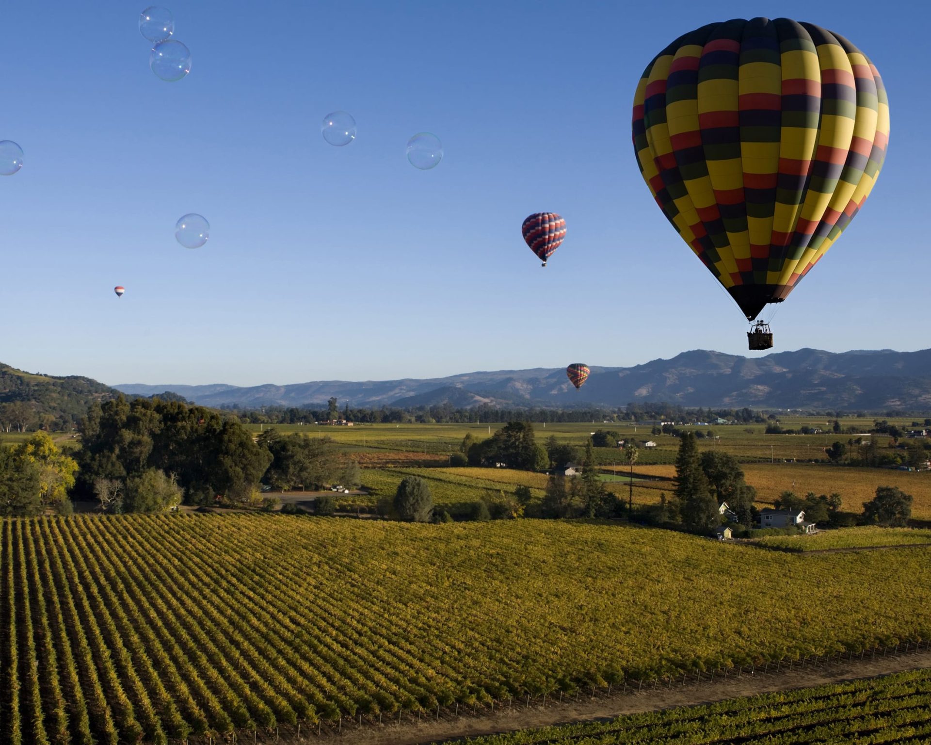 Colorful hot air balloons floating over Napa Valley vineyards at sunrise with scenic mountains in the background.