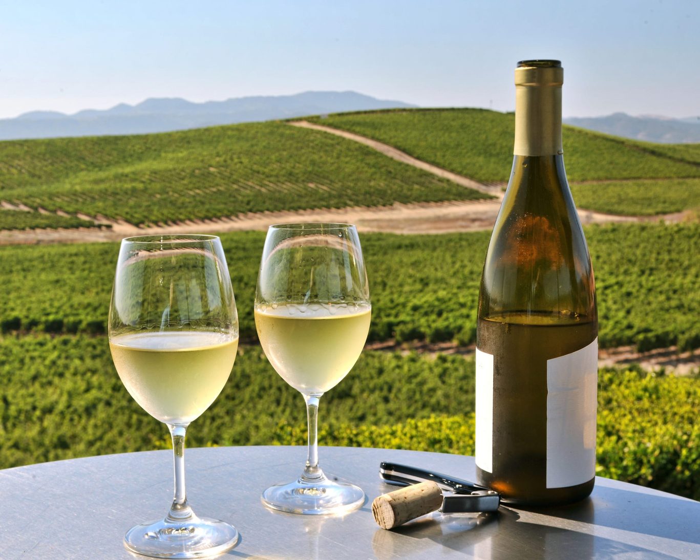 Two glasses of white wine and a bottle overlooking lush vineyard hills in Napa Valley, California.