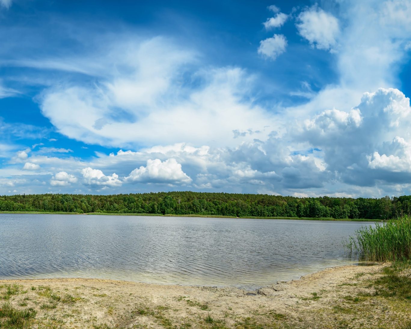Scenic view of Sand Lake near Rugby, North Dakota, with forested shoreline and blue sky, perfect for outdoor recreation.