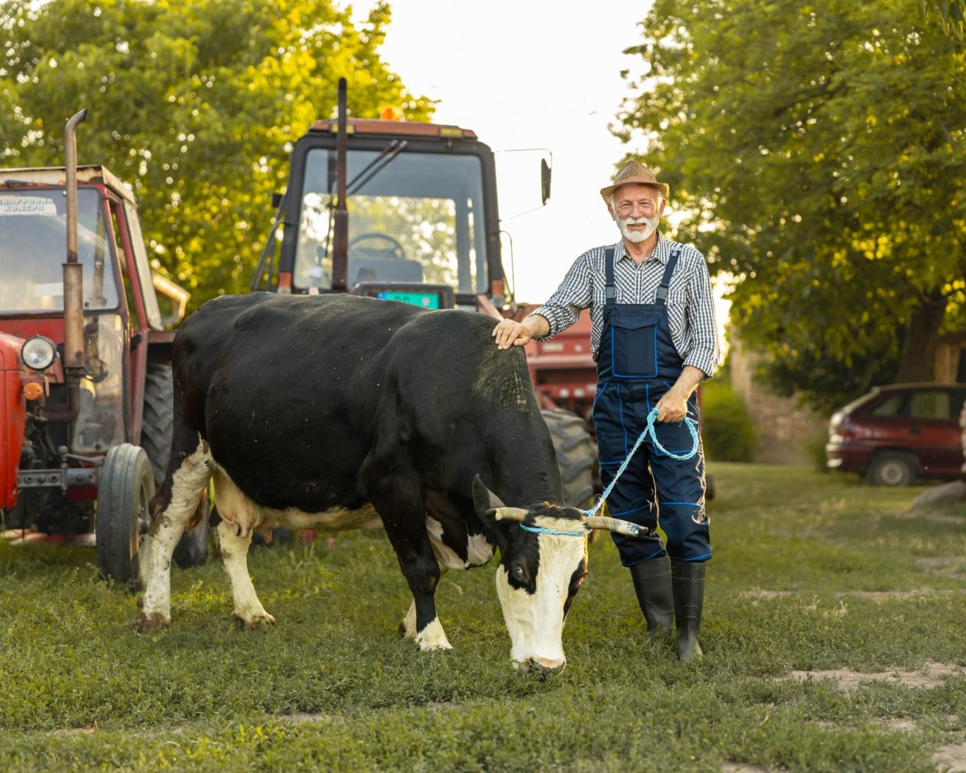 brooklyn agricultural fair_5x4_2200px