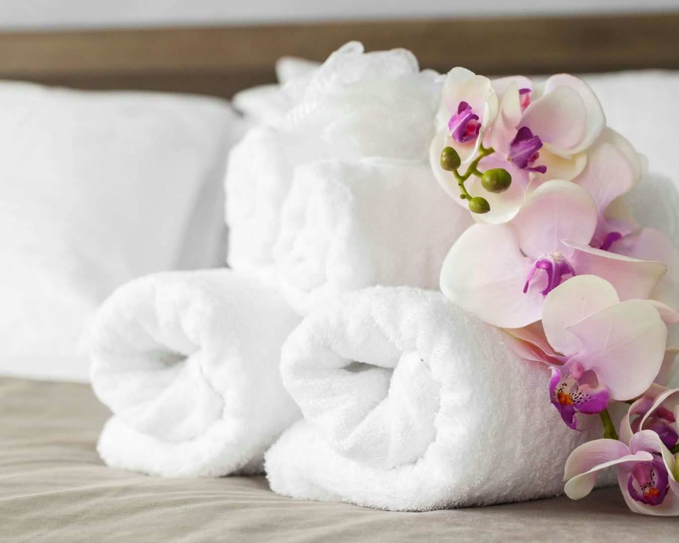 Fresh white towels with pink orchids .on bed at Relax Inn Westminster