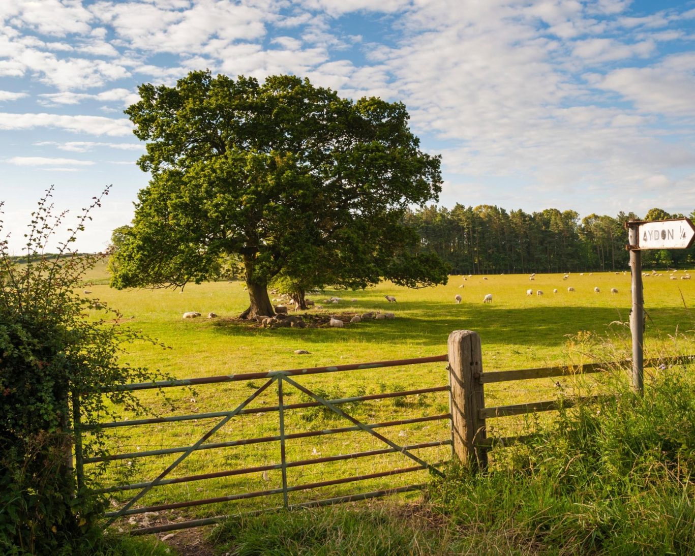 northumberland national park.