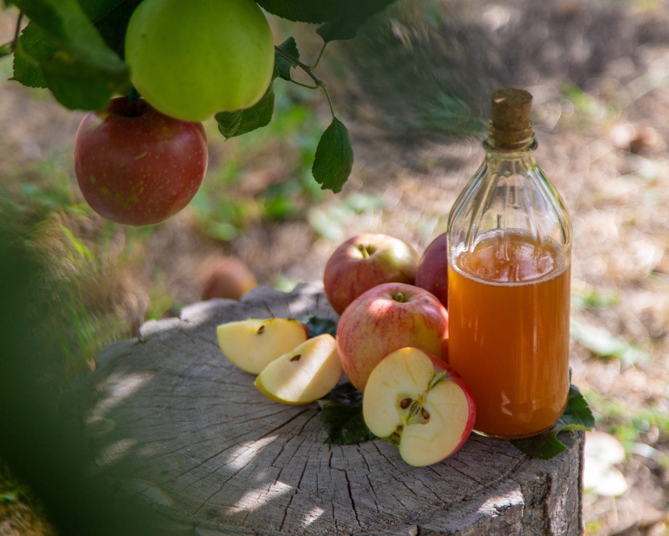 Somerset Cider Brandy Co.