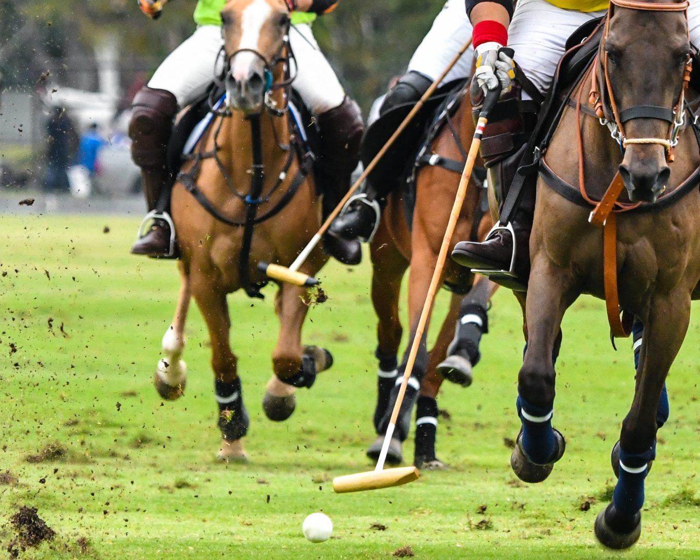 Vaux Park Polo Club.