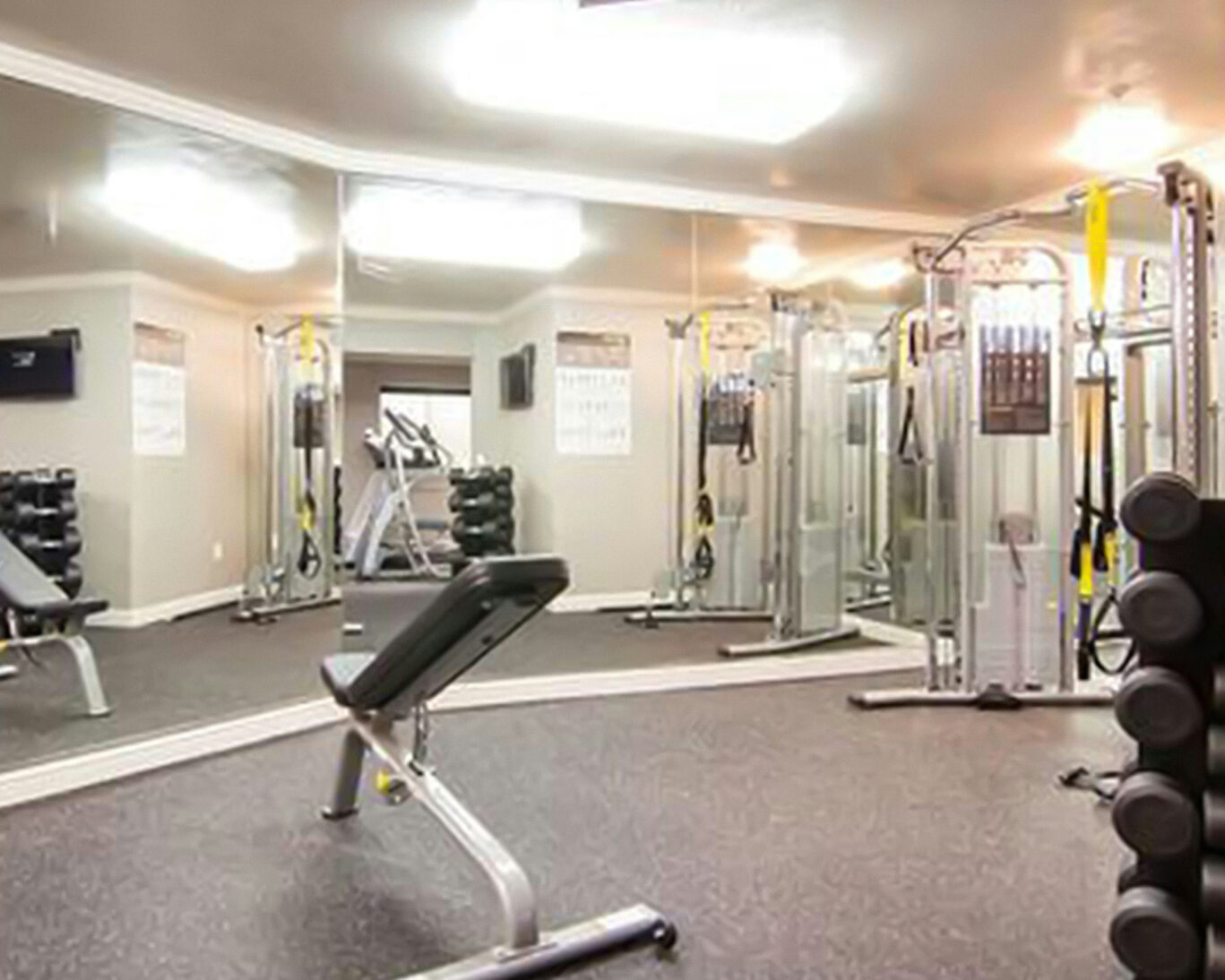 Modern fitness center at Zen Hotel Palo Alto with weight and cardio equipment