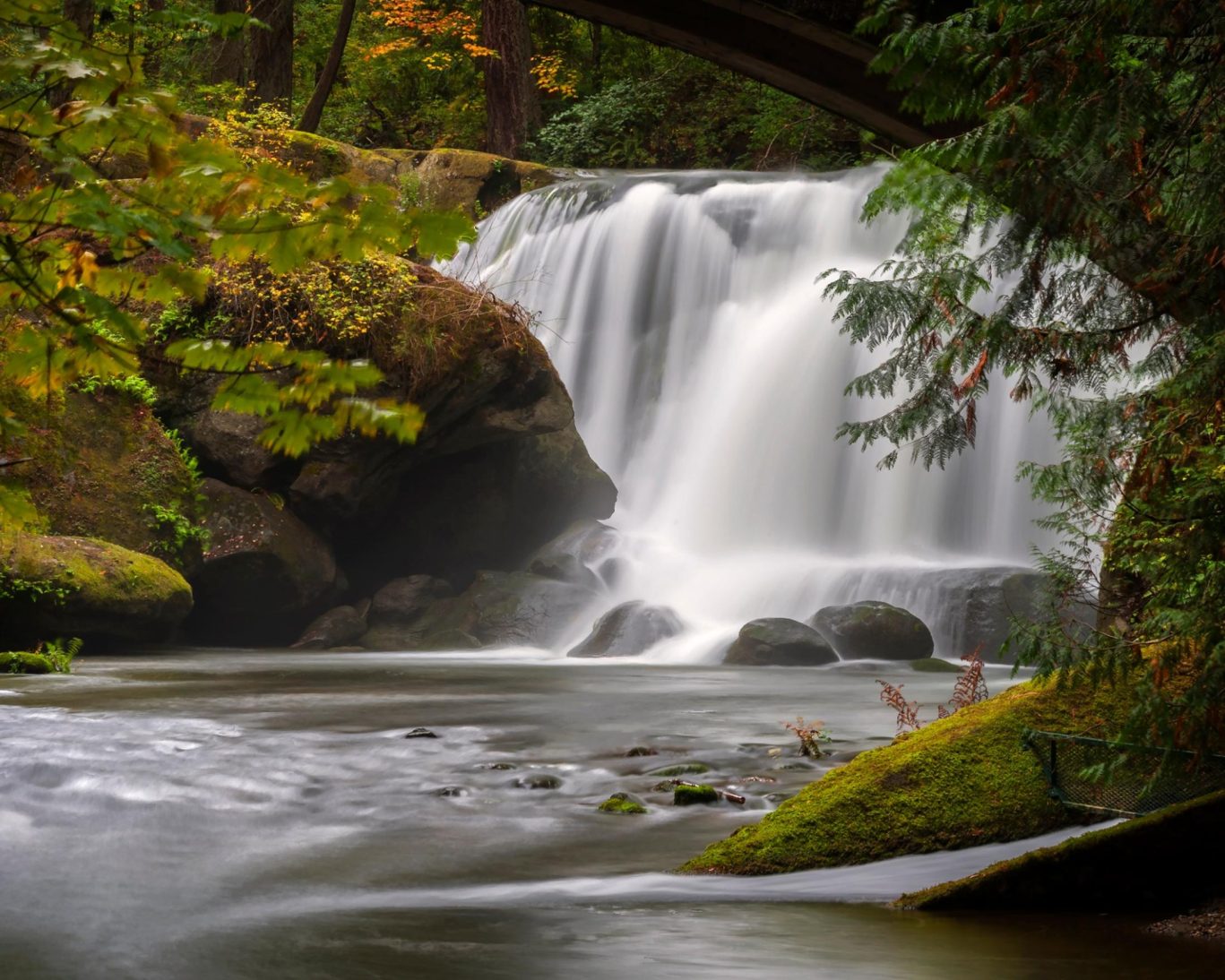 Scenic waterfall flowing through mossy rocks at Whatcom Falls Park, surrounded by autumn foliage.