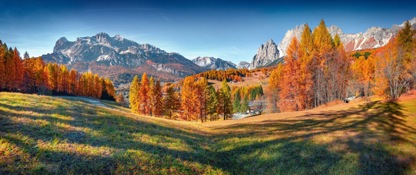 shutterstock_2523256747