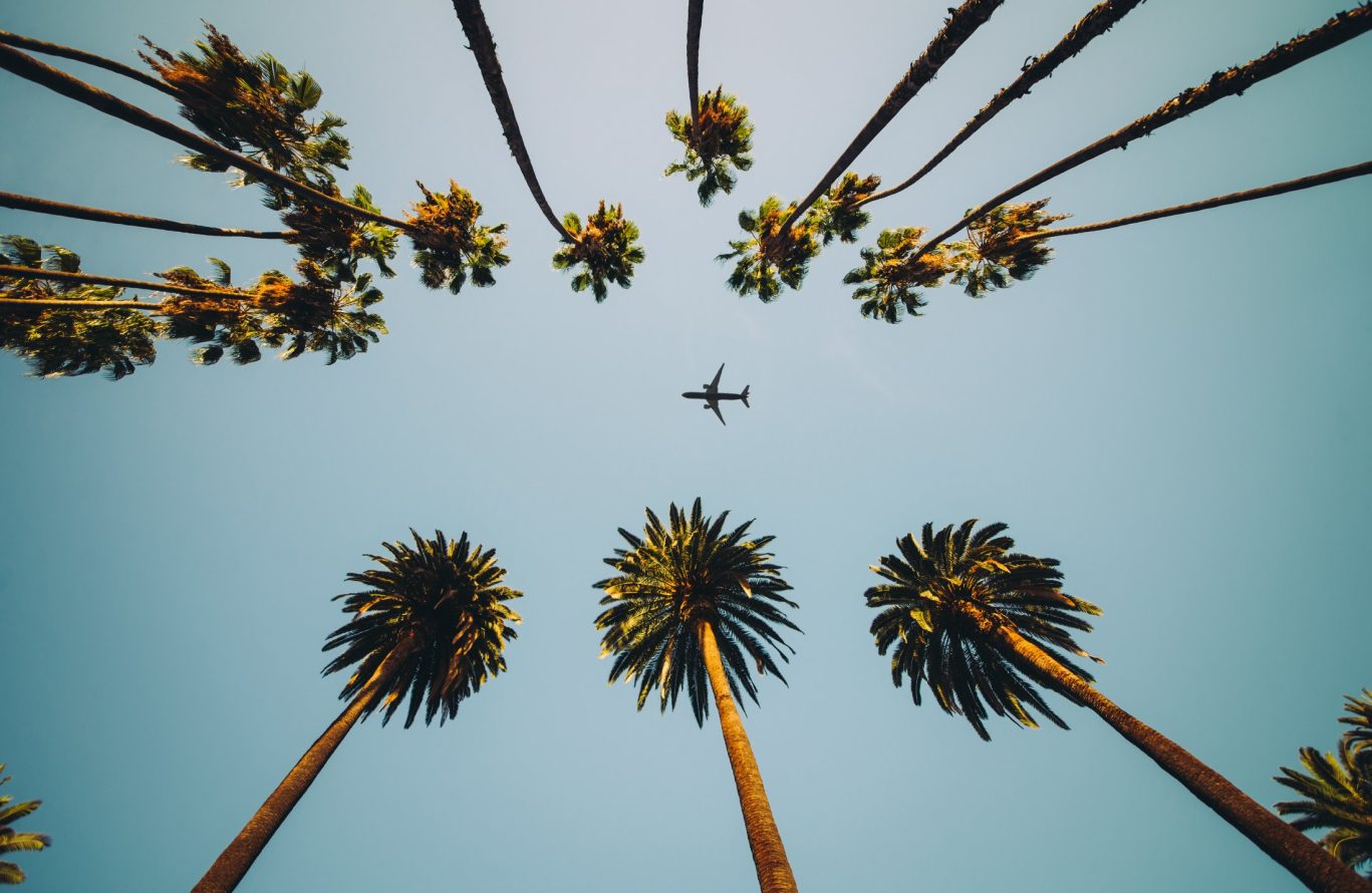 Silhouette of airplane flying over tall palm trees against a clear sky in California.