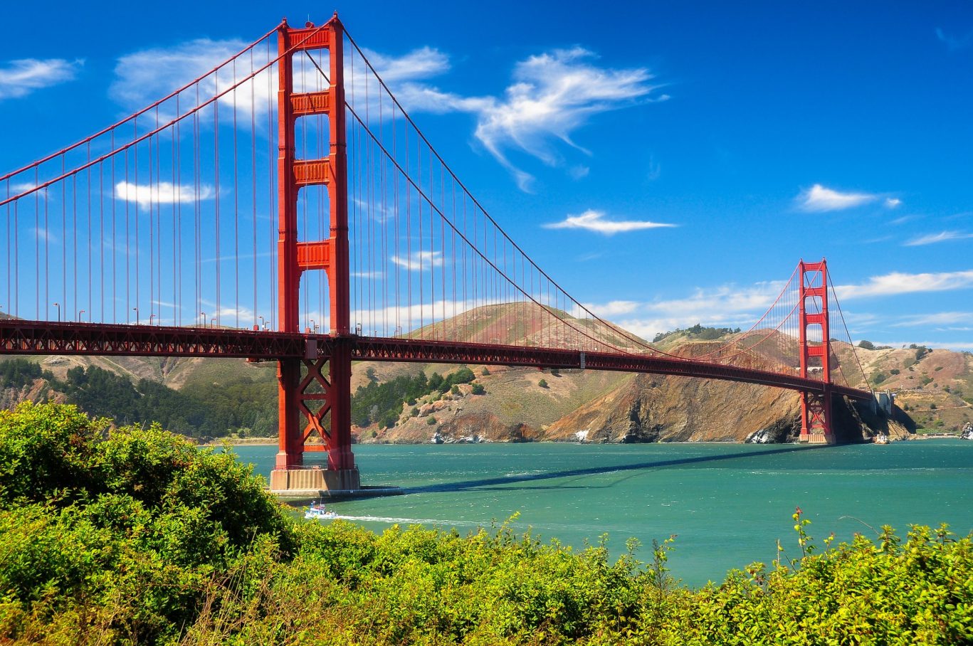 shutterstock_114141715