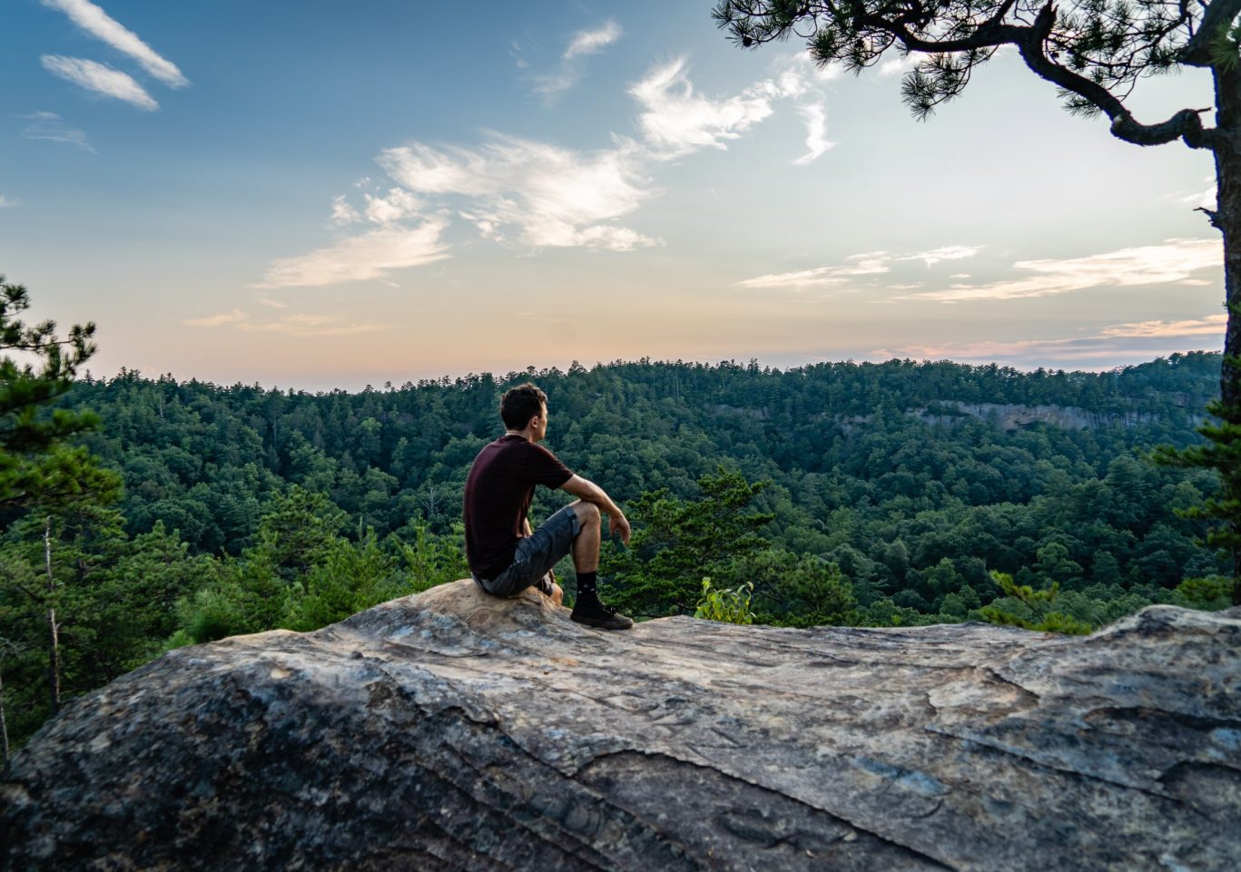 shutterstock_1475621777 A young man sits on an outcropping of rock atop a mountain in Red River Gorge, Daniel Boone National Forest, Kentucky.