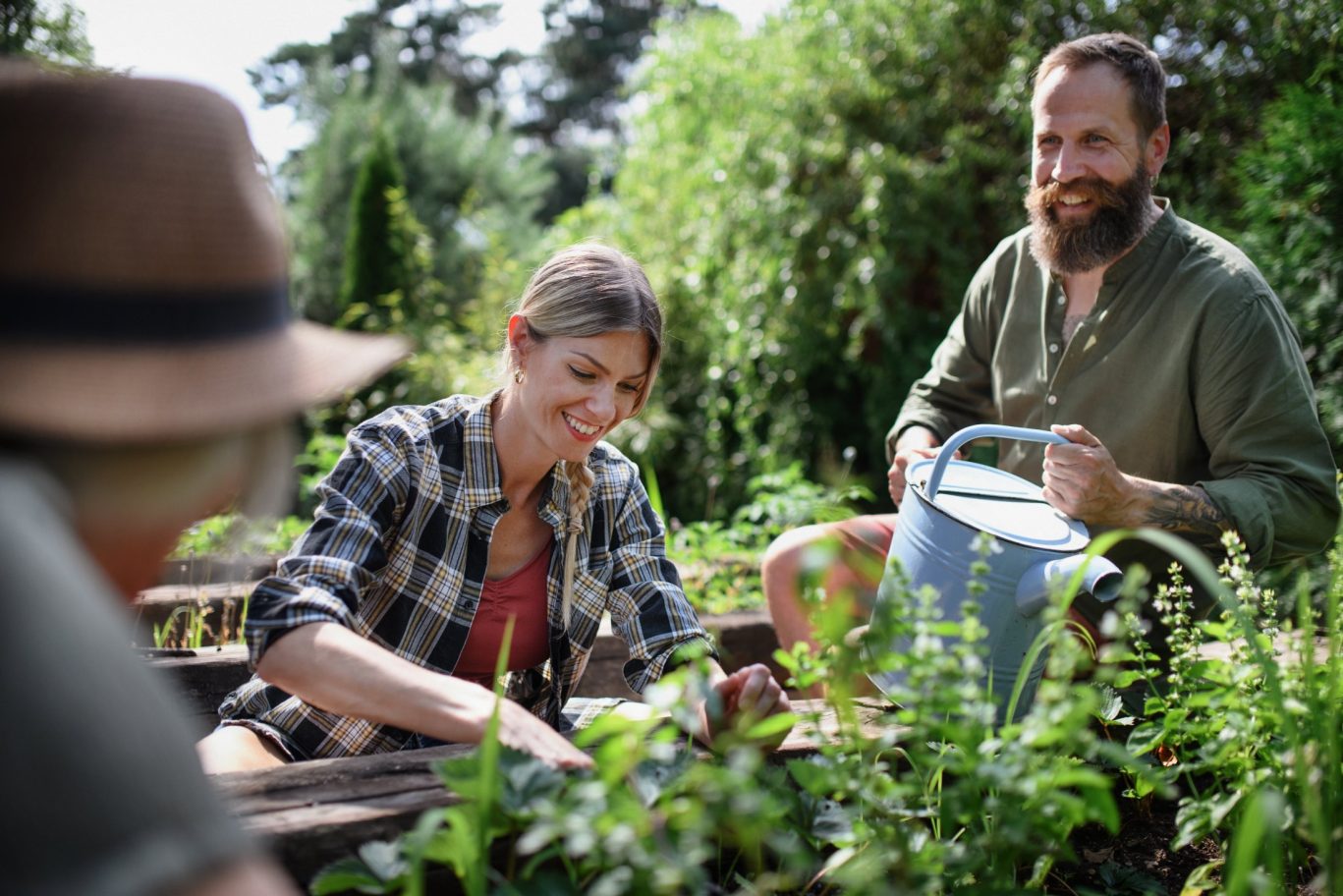 Group of adults enjoying community gardening in raised garden beds.